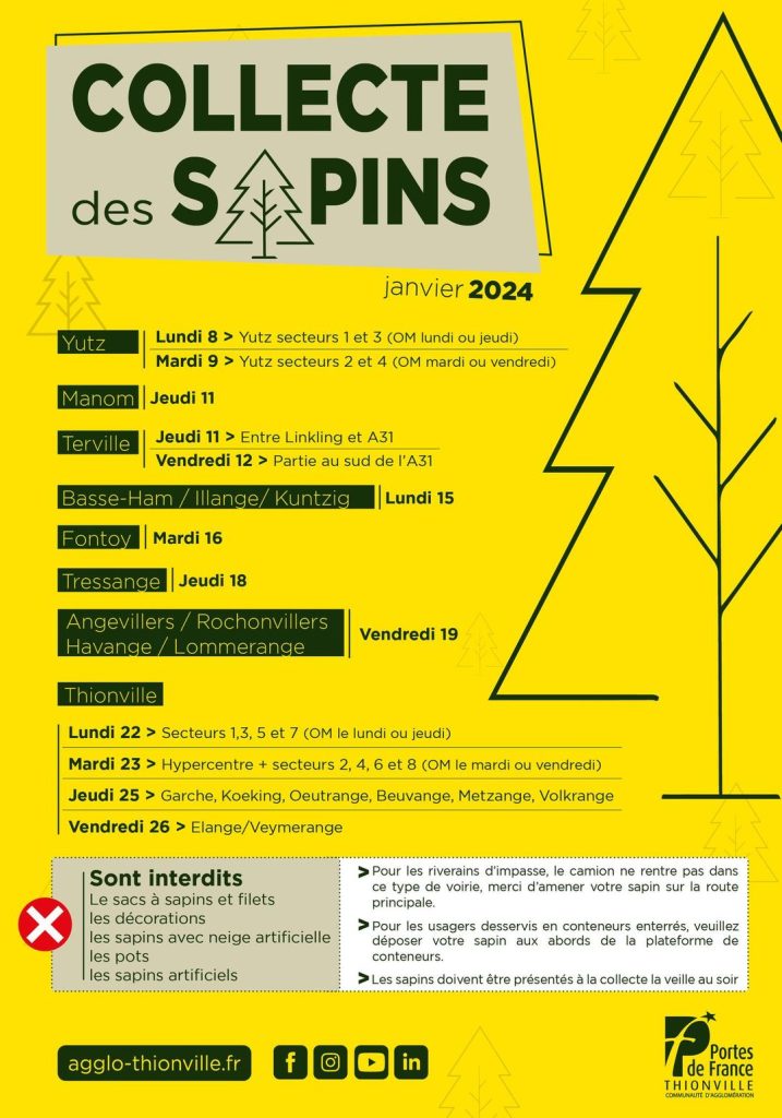 Des points de collecte pour jeter votre sapin du 3 au 17 janvier 2024 - MET